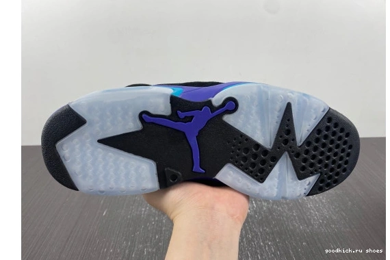  6 Aqua CT8529-004 CT8529-004  Retro Jordan 0329